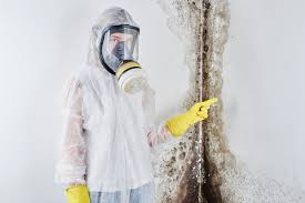 Forensic Mold Investigation in Wetumpka, AL